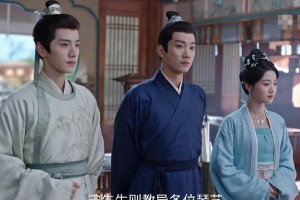 《榜上佳婿》男主颜值争议：王子奇VS7位备选演员