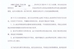 王心凌音乐节退票风波：合约与宣传不符引争议