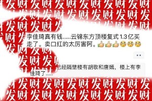 李佳琦1.3亿豪宅曝光，揭秘主播的上海顶奢生活