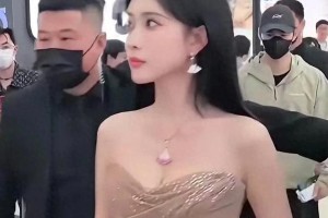 精选图片集锦：视觉盛宴一览