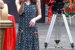 姚笛：从巅峰到谷底的演艺生涯与“周一见”事件